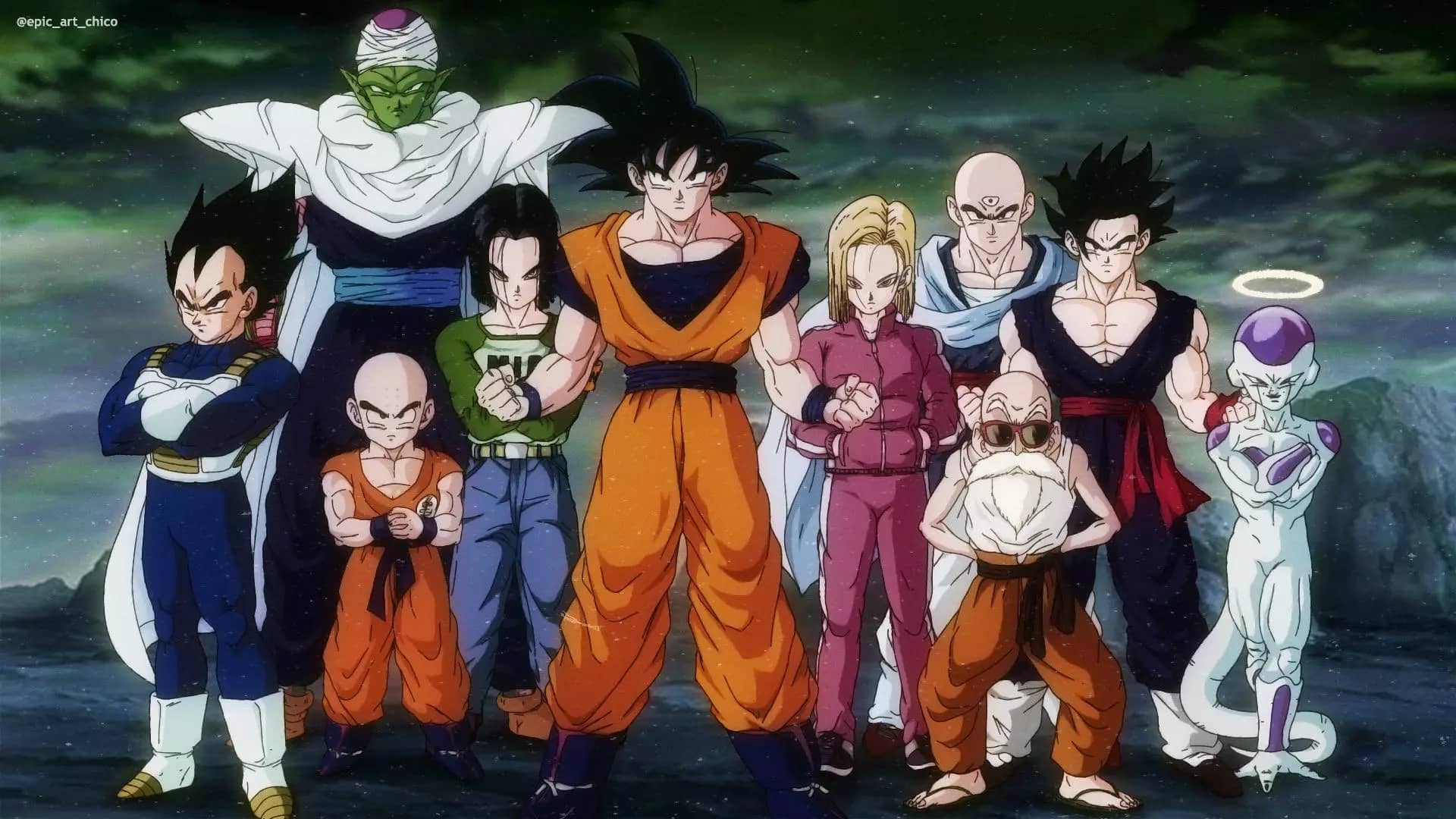 The Z fighters from Dragon ball z